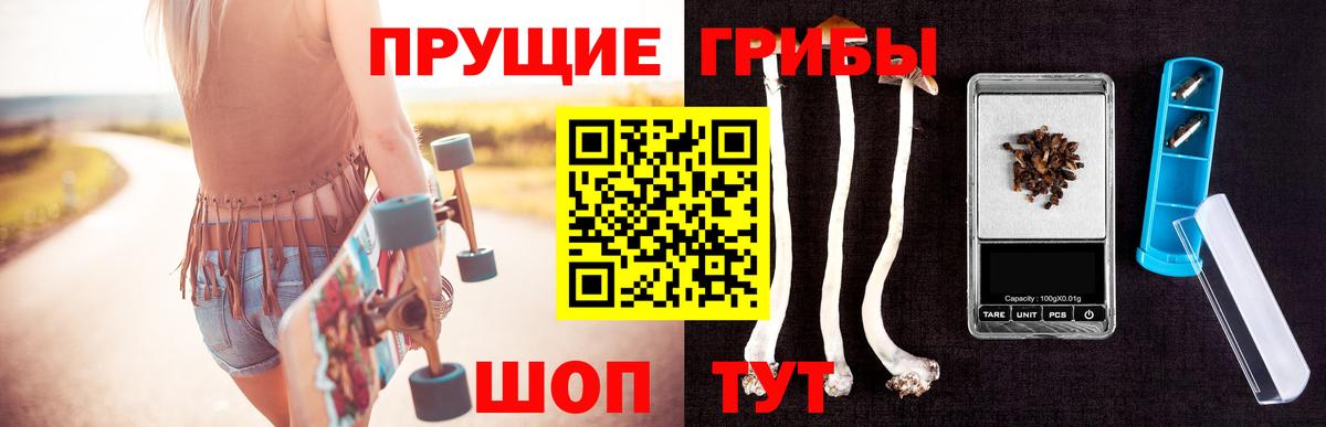 Галлюциногенные грибы мицелий Бердск