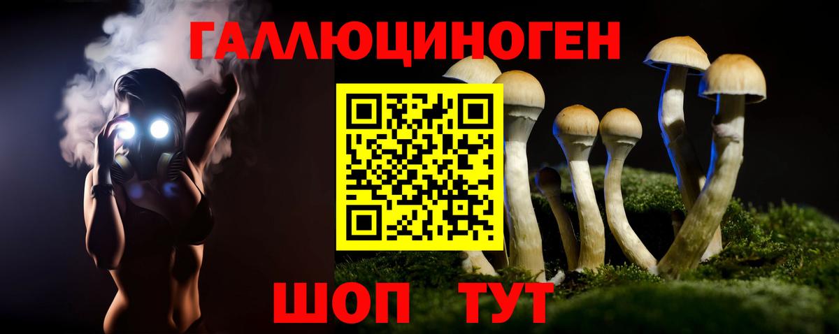 Галлюциногенные грибы MAGIC MUSHROOMS  Галлюциногенные грибы Psilocybine cubensis  Бердск  Вход с VPN 